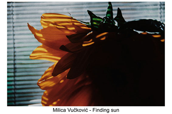 Milica Vučković - 2001 - Finding sun izrada