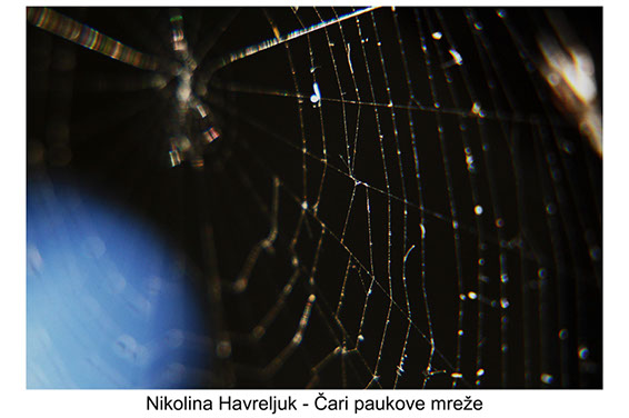 Nikolina Havreljuk - 2000 - čari paukove mreže izrada