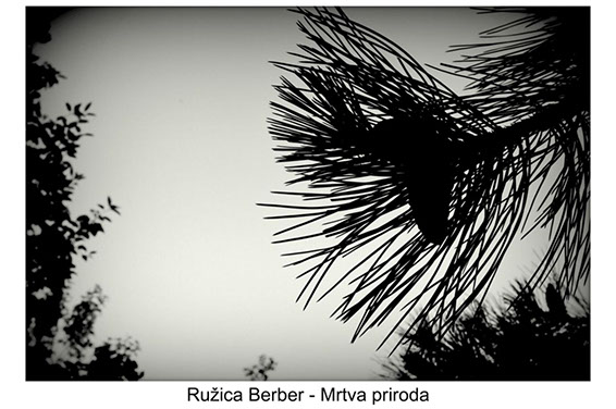 Ružica Berber - 1994 - mrtva priroda izrada