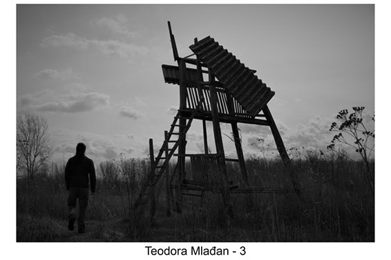 Teodora Mlađan - 3
